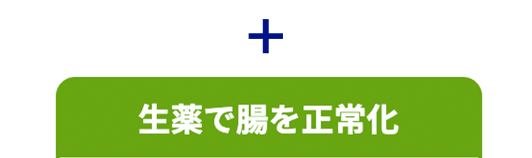 生薬で腸を正常化