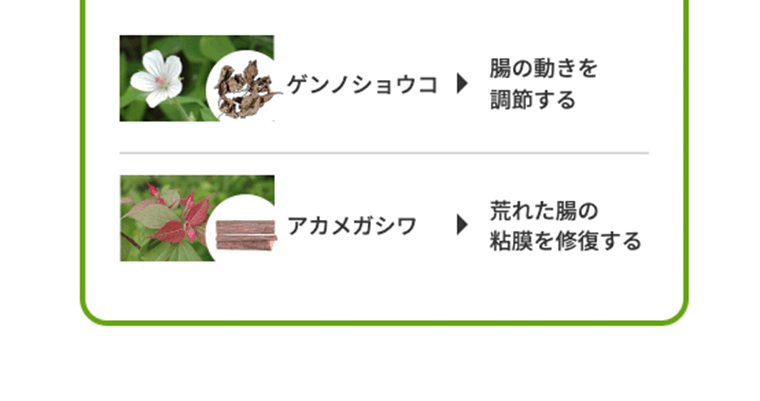 ゲンノショウコ→腸の動きを調節する　アカメガシワ→荒れた腸の粘膜を修復する