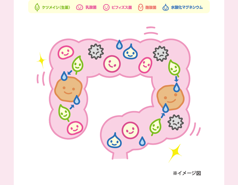 ※イメージ図