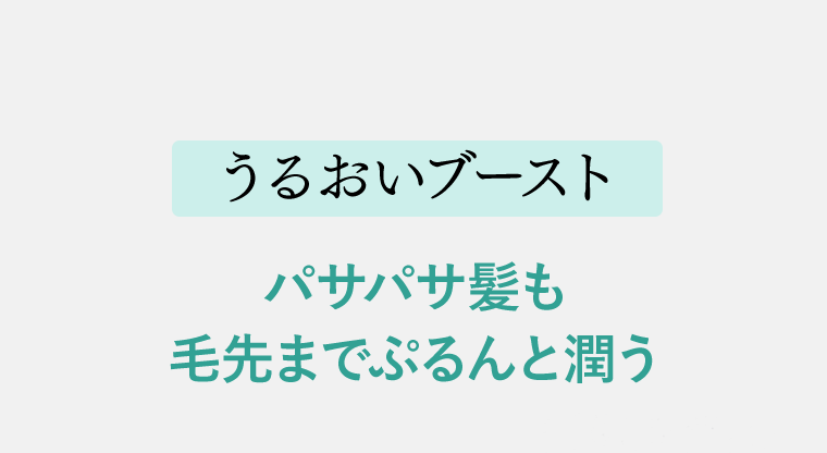 《うるおいブースト》パサパサ髪も毛先までぷるんと潤う