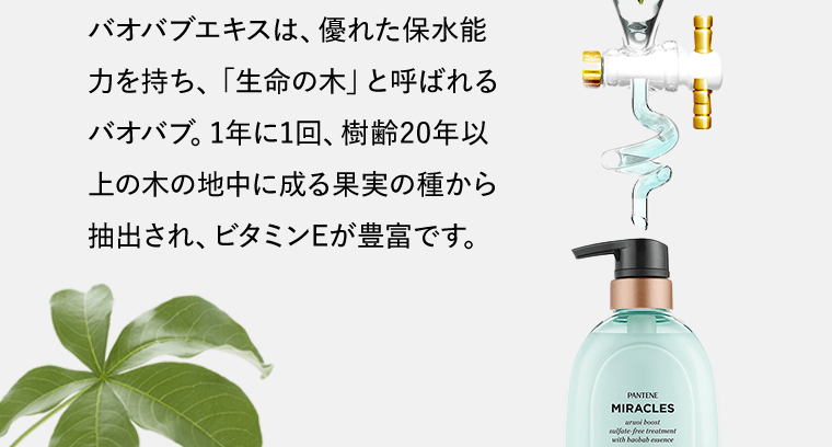 バオバブエキスは、優れた保水能力を持ち、「生命の木」と呼ばれるバオバブ。1年に1回、樹齢20年以上の木の地中に成る果実の種から抽出され、ビタミンEが豊富です。