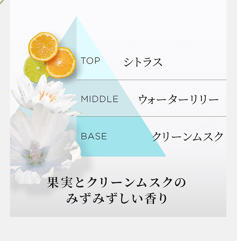 TOP/シトラス　MIDDLE/ウォータリリー　BASE/クリーンムスク　果実とクリーンムスクのみずみずしい香り