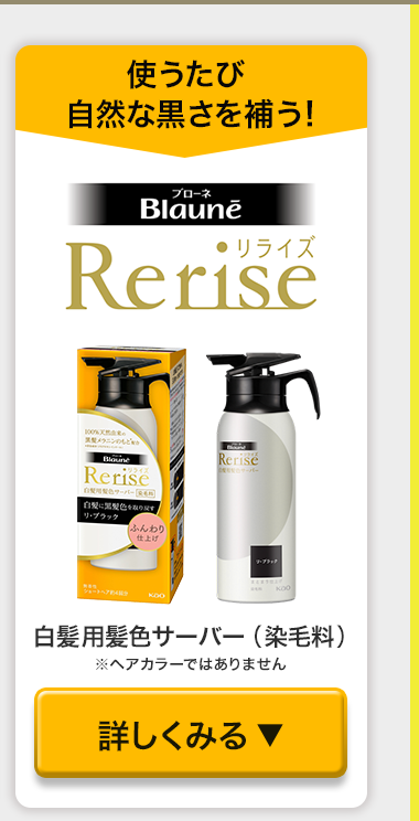 Rerise 詳しくみる