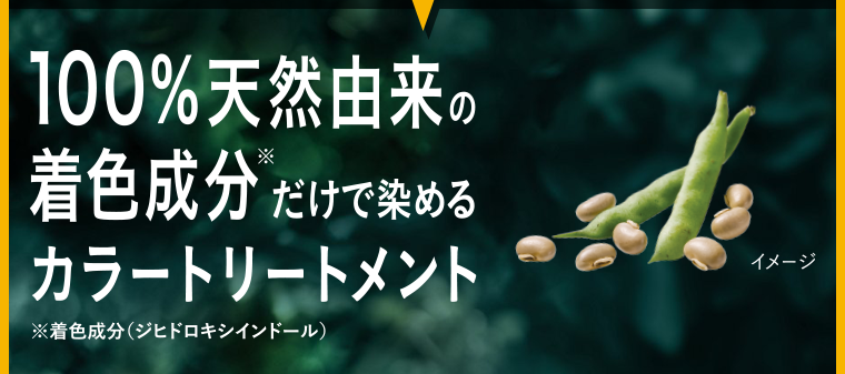 カラートリートメント