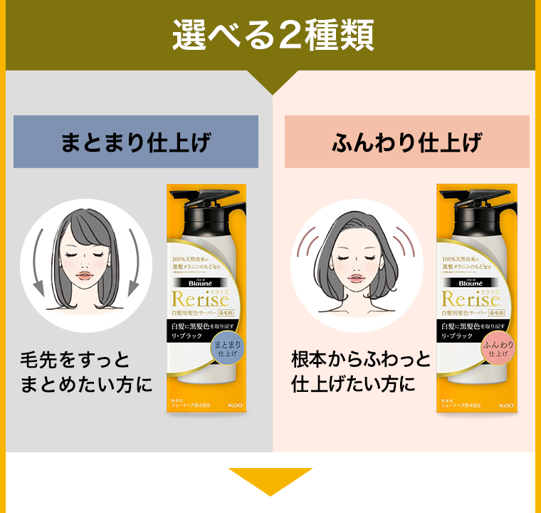 選べる２種類