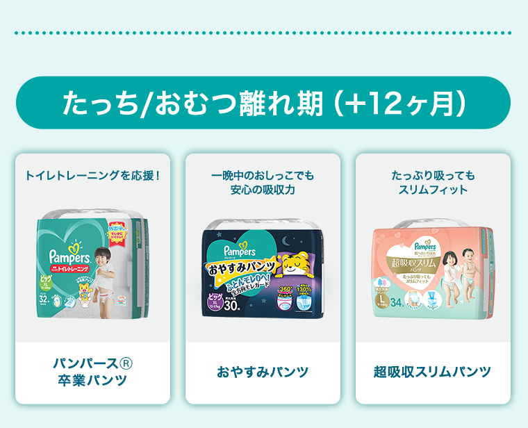 たっち／おむつ離れ期（＋12ヶ月）