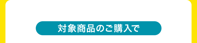 対象商品のご購入で