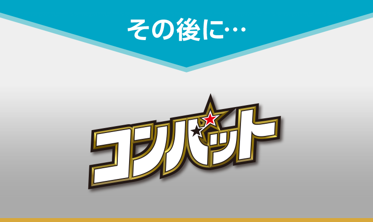 その後に・・・コンバット