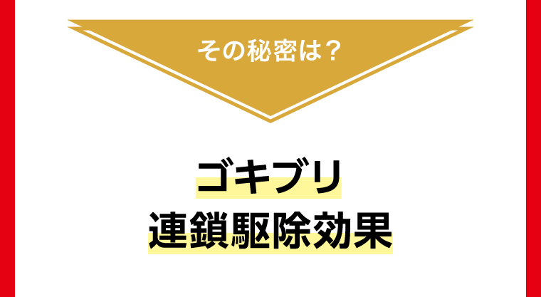 その秘密は？ゴキブリ連鎖駆除効果