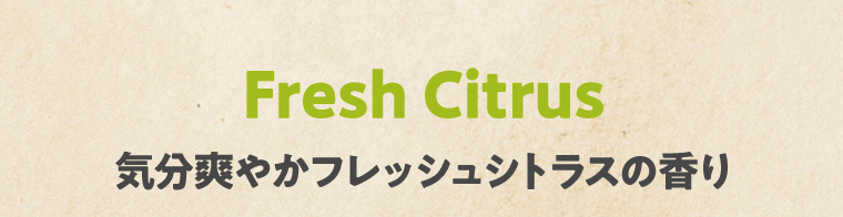 Fresh Citrus 気分爽やかフレッシュシトラスの香り