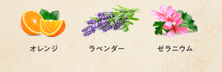 オレンジ　ラベンダー　ゼラニウム