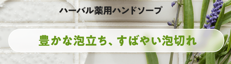 ハーバル薬用ハンドソープ《豊かな泡立ち、すばやい泡切れ》