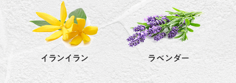 イランイラン　ラベンダー