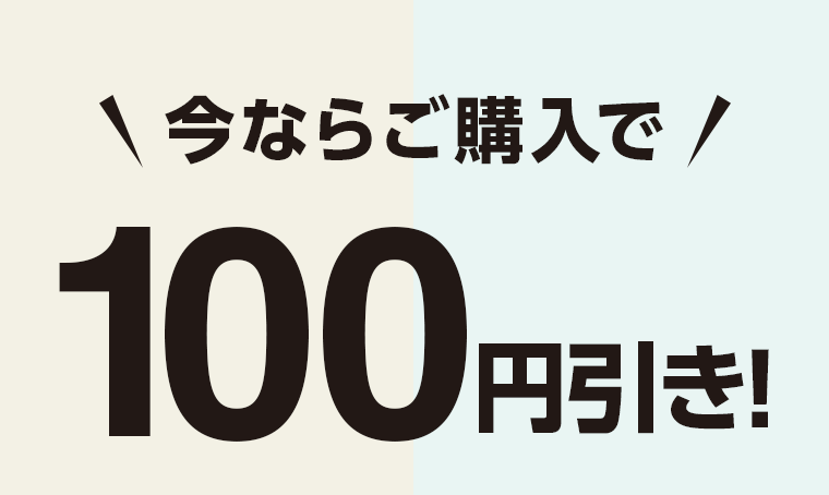 今ならご購入で100円引き!