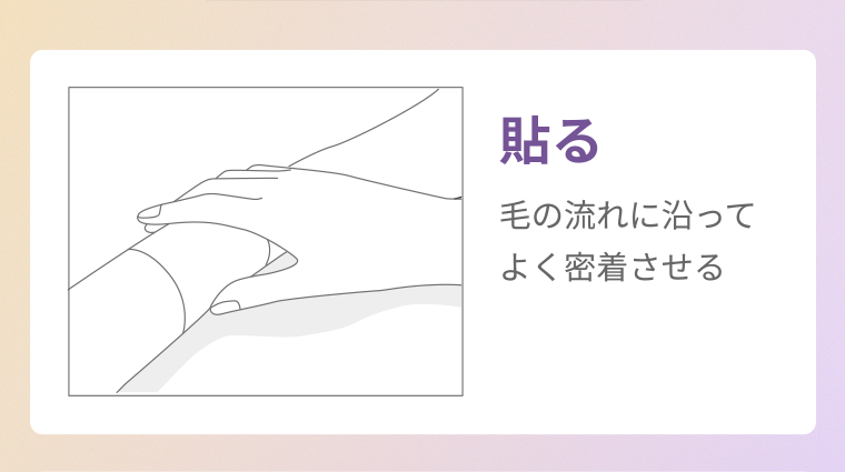 貼る 毛の流れに沿ってよく密着させる