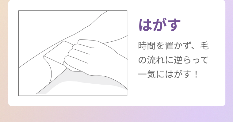 はがす 時間を置かず、毛の流れに逆らって一気にはがす!