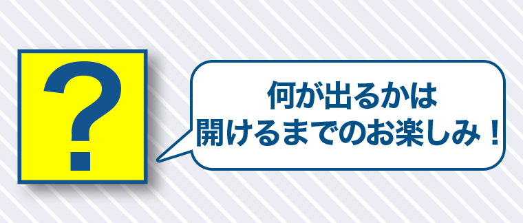 何が出るかは開けるまでのお楽しみ!