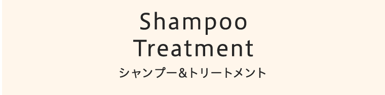 Shampoo Treatment