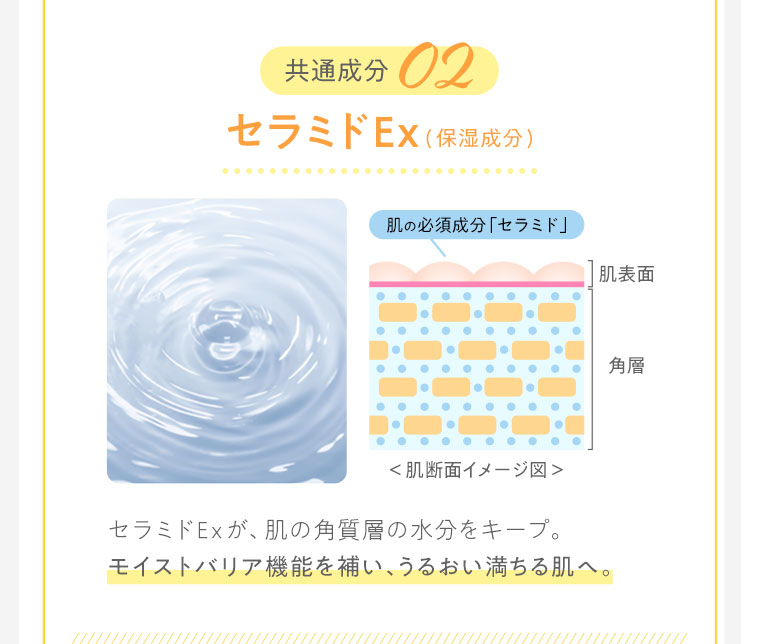 共通成分02　セラミドEx