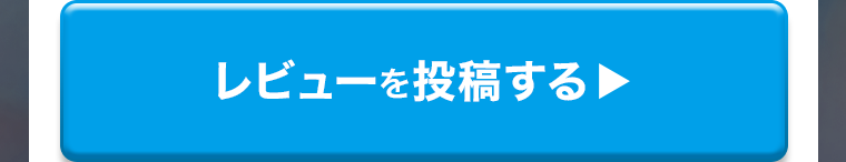 レビューを投稿する