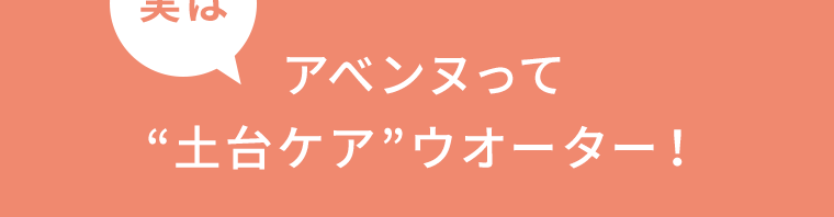 実はアベンヌって“土台ケア”ウオーター