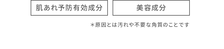【肌あれ予防有効成分】【美容成分】＊原因とは汚れや不要な角質のことです