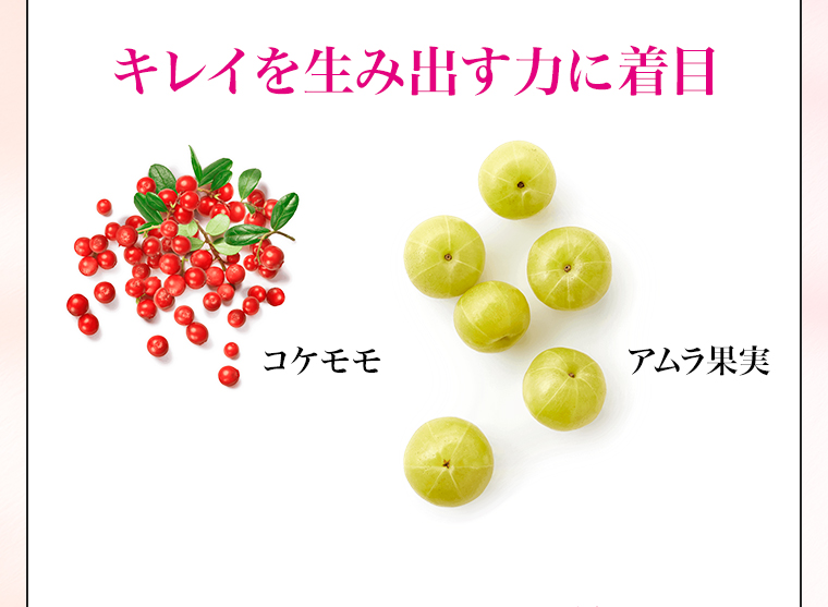 キレイを生み出す力に着目 コケモモ アムラ果実