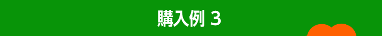 購入例3