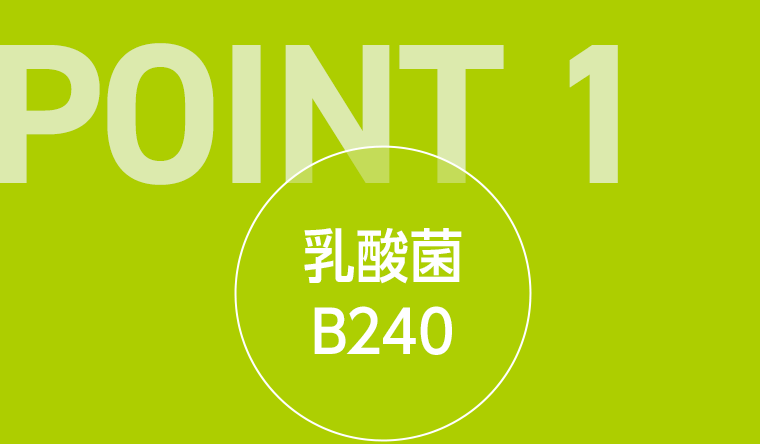 POINT 1　乳酸菌B240