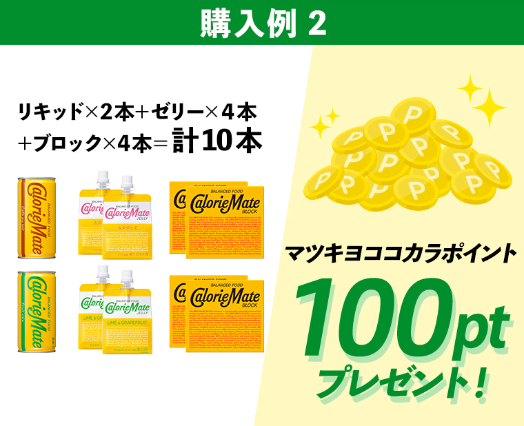 購入例２