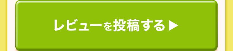 レビューを投稿する