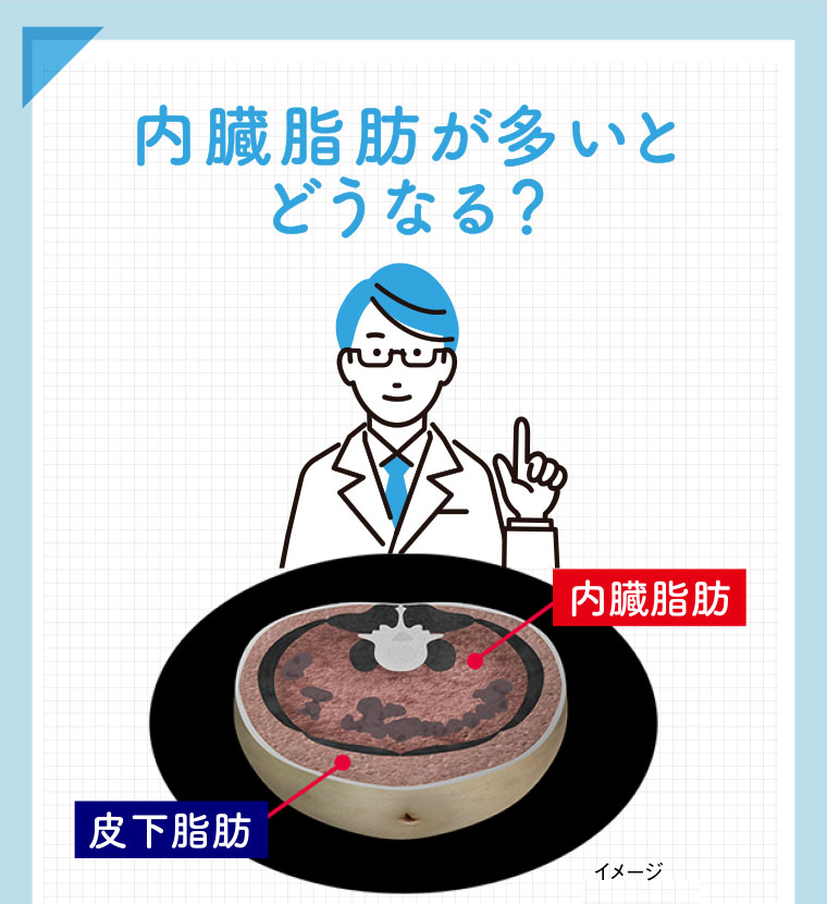 内脂肪が多いとどうなる？