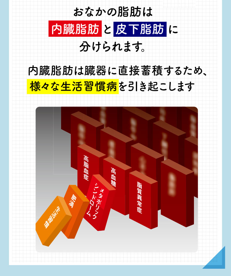 おなかの脂肪は内臓脂肪と皮下脂肪に分けられます。