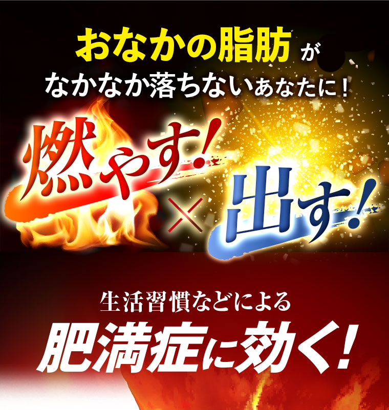 おなかの脂肪がなかなか落ちないあなたに！燃やす！×出す！