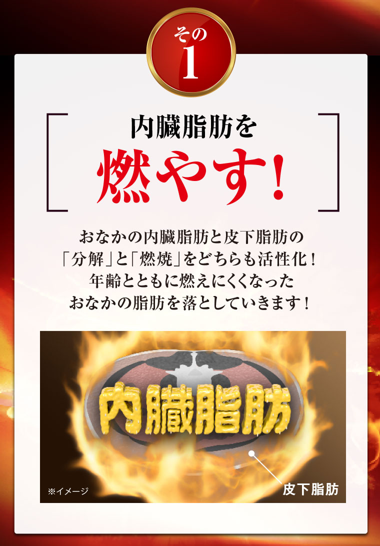 その1　内臓脂肪を燃やす！