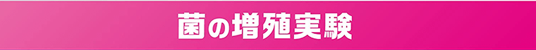 菌の増殖実験