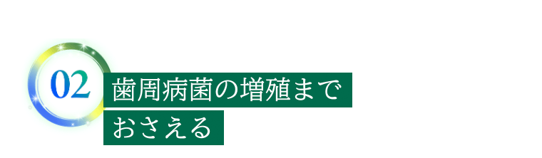 02　歯周病菌の増殖までおさえる