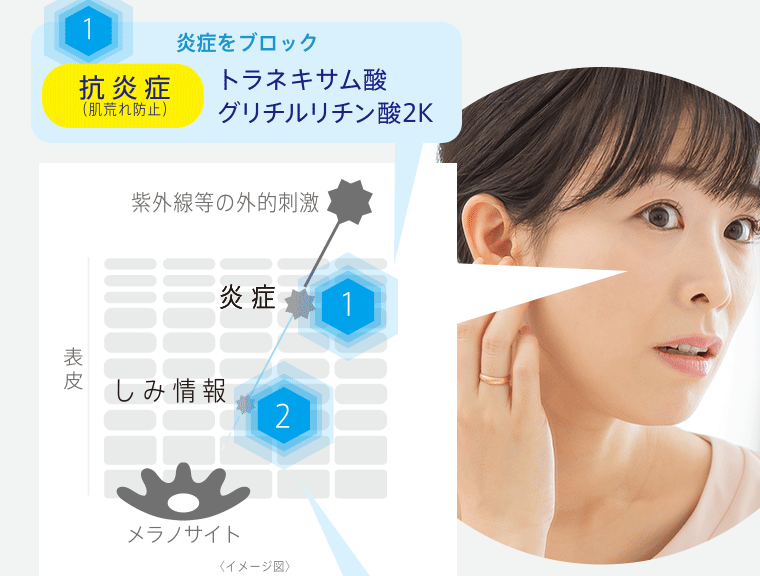 1.炎症をブロック 抗炎症(肌荒れ防止)トラネキサム酸 グリチルリチン酸2K