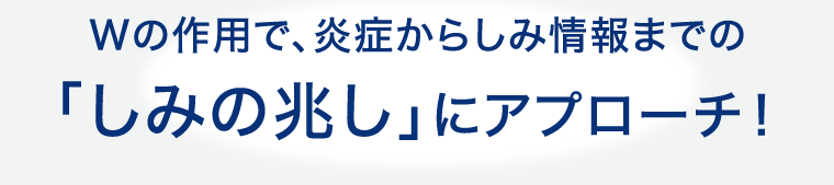 Wの作用で、炎症からしみ情報までの「しみの兆し」にアプローチ!