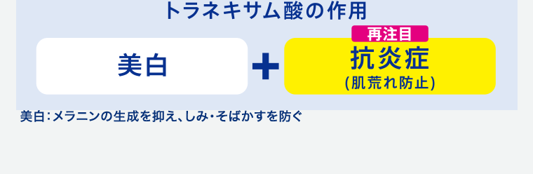 トラネキサム酸の作用 美白+抗炎症(肌荒れ防止) 美白:メラニンの生成を抑え、しみ・そばかすを防ぐ