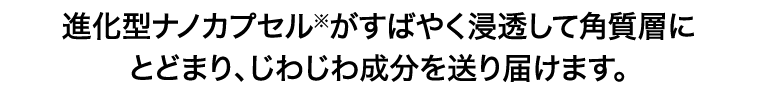 進化型ナノカプセル※がすばやく浸透して角質層にとどまり、じわじわ成分を送り届けます。