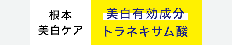 根本 美白ケア 美白有效成分 トラネキサム酸