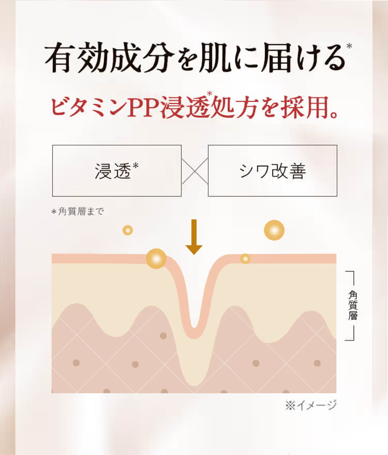 有効成分を肌に届けるビタミンPP浸透処方を採用。