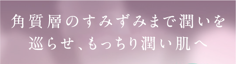 角質層のすみずみまで潤いを巡らせ、もっちり潤い肌へ