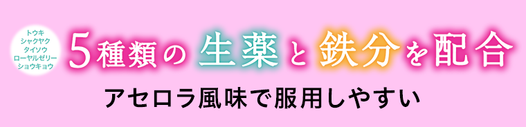 ５種類の生薬と鉄分を配合