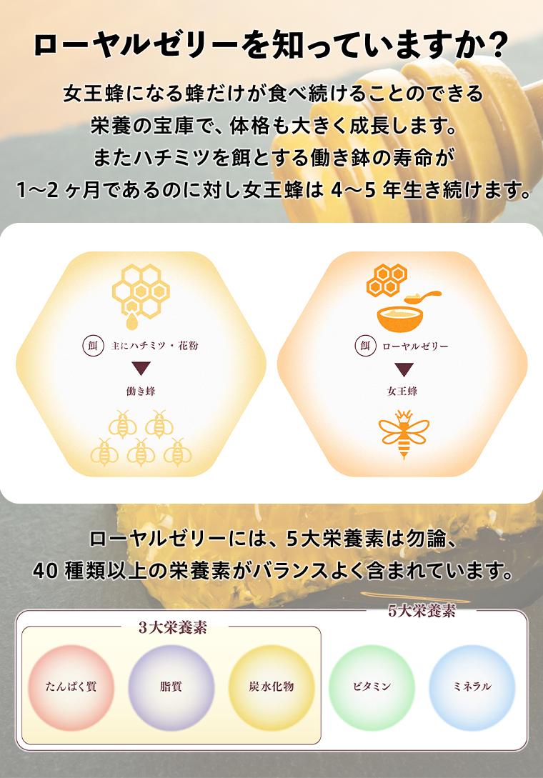 ローヤルゼリーを知っていますか？