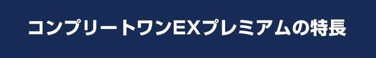 コンプリートワンEXプレミアムの特長