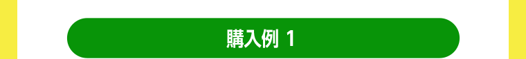 購入例1