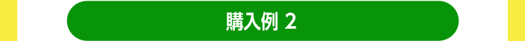 購入例2