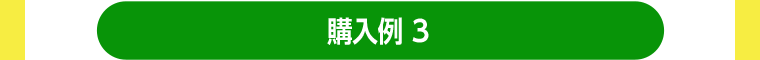 購入例3